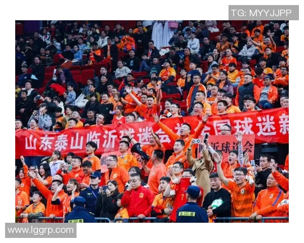 中国足球明星直播盛典精彩回顾与未来展望，球迷互动热情高涨