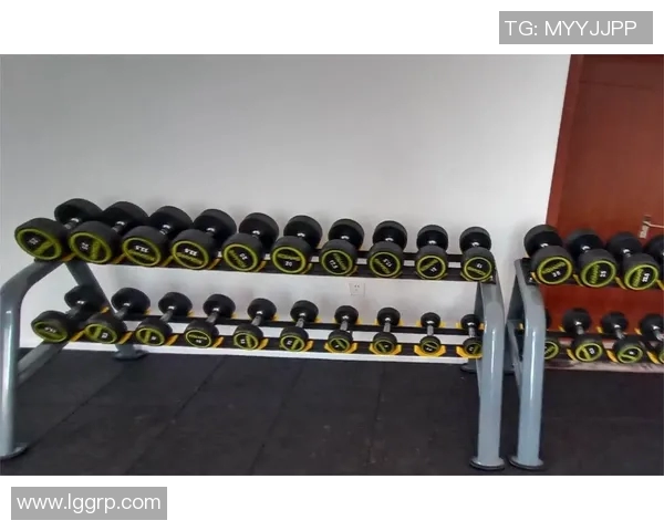 佛山市健身器材市场分析与发展趋势探讨助力健康生活新方式